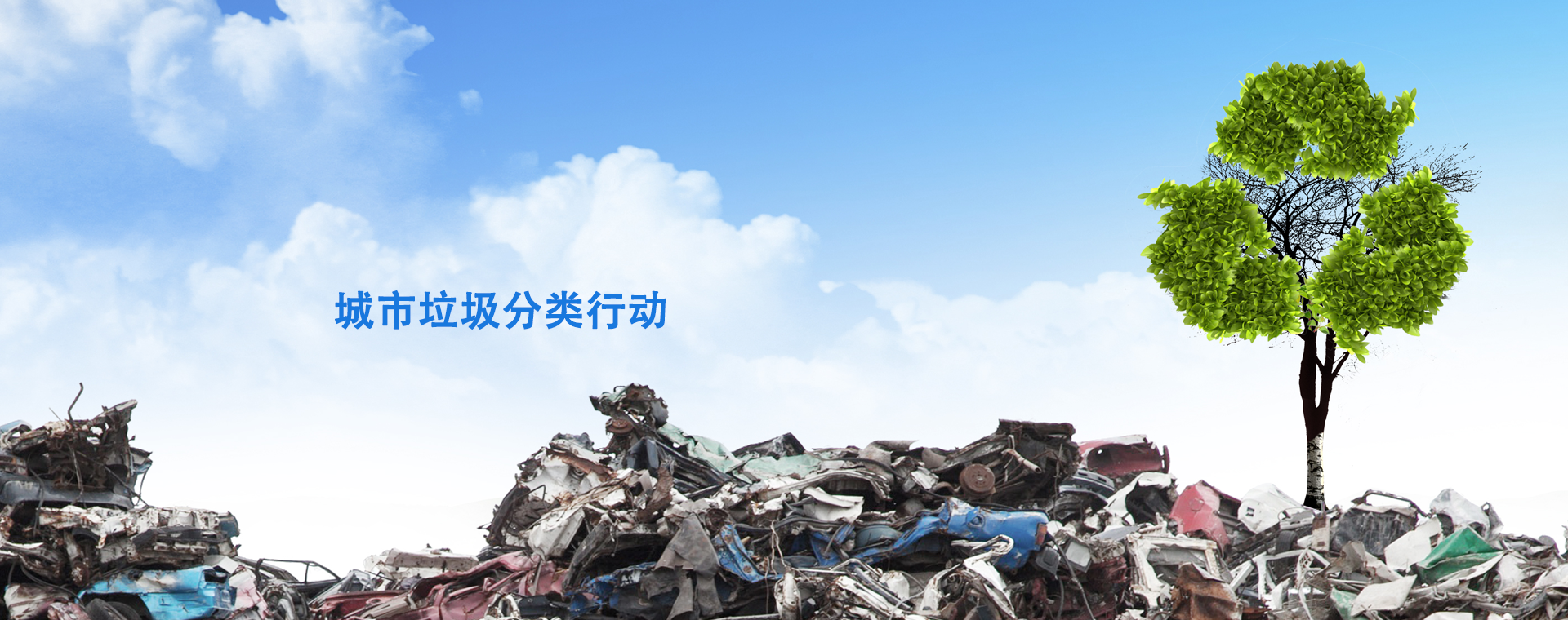 焦点图6